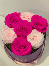 Load image into Gallery viewer, Heavenly 7 collection - MCROSES.COM