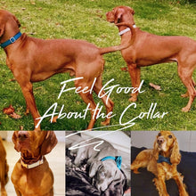 Load image into Gallery viewer, Multiple Colour Velvet Personalise Dog Collar Leash Set With Bow

