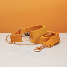 Load image into Gallery viewer, Multiple Colour Velvet Personalise Dog Collar Leash Set With Bow

