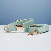 Load image into Gallery viewer, Multiple Colour Velvet Personalise Dog Collar Leash Set With Bow
