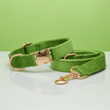 Load image into Gallery viewer, Multiple Colour Velvet Personalise Dog Collar Leash Set With Bow
