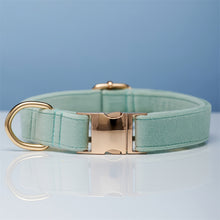 Load image into Gallery viewer, Multiple Colour Velvet Personalise Dog Collar Leash Set With Bow
