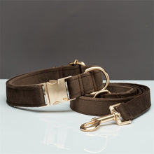 Load image into Gallery viewer, Multiple Colour Velvet Personalise Dog Collar Leash Set With Bow
