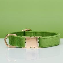 Load image into Gallery viewer, Multiple Colour Velvet Personalise Dog Collar Leash Set With Bow
