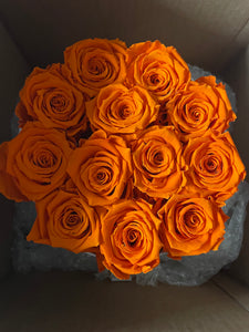 Dozen Everlasting Preserved Orange Roses