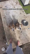 Load and play video in Gallery viewer, 1.mp4
