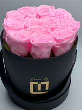 Load image into Gallery viewer, pink baby pink, everlasting preserved roses 
