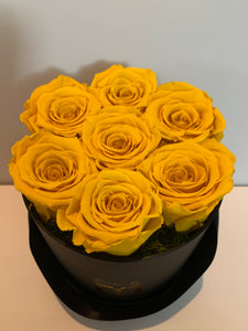 Yellow everlasting roses with black box - MCROSES.COM