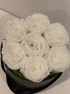 White everlasting roses with black box - MCROSES.COM