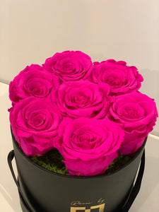 Fuchsia everlasting roses - MCROSES.COM