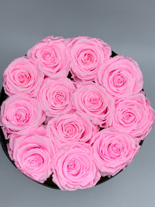 Dozen Everlasting Preserved Roses Baby Pink - MCROSES.COM