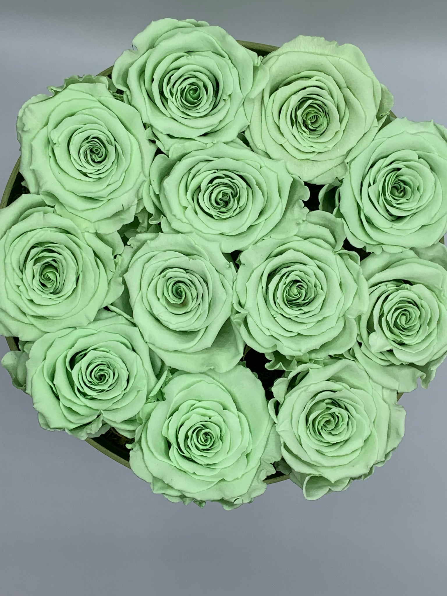 Dozen Everlasting Preserved Seafoam Green Roses – MCROSES.COM