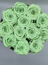 Load image into Gallery viewer, Dozen Everlasting Preserved Seafoam Green  Roses - MCROSES.COM
