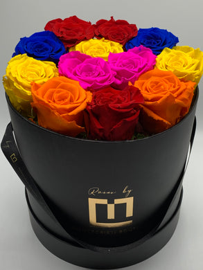 Dozen Everlasting Preserved Multicolor Roses - MCROSES.COM