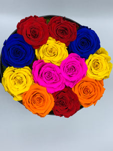 Dozen Everlasting Preserved Multicolor Roses - MCROSES.COM