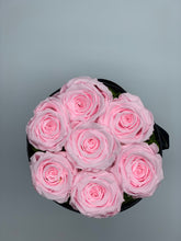 Load image into Gallery viewer, Baby pink everlasting roses - MCROSES.COM
