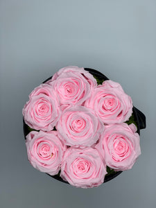 Baby pink everlasting roses - MCROSES.COM