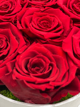 Load image into Gallery viewer, Everlasting Preserved 7 Red Roses - MCROSES.COM
