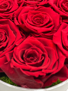 Everlasting Preserved 7 Red Roses - MCROSES.COM